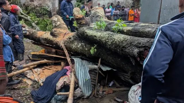 কালবৈশাখী ঝড়ে দোকানের ওপর গাছ পড়ে ব্যবসায়ীর মৃত্যু