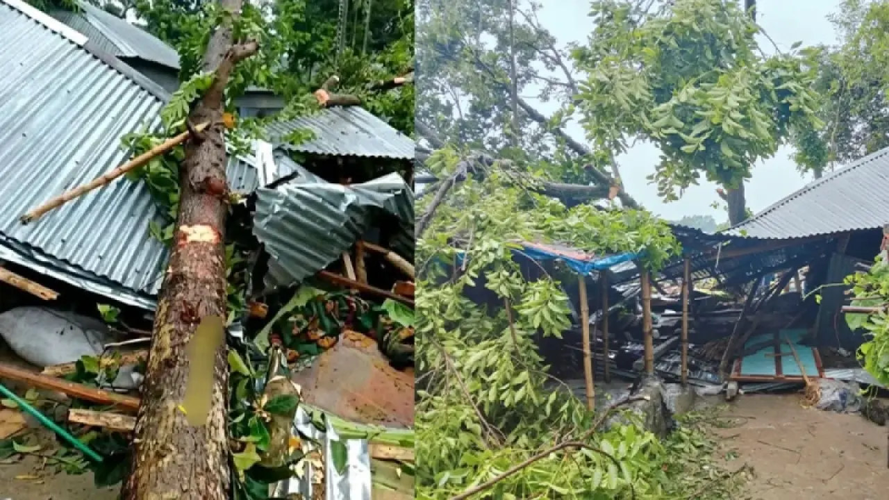 জামালপুরে কালবৈশাখীর তাণ্ডব, গাছচাপায় মা ও ২ মেয়ের মৃত্যু