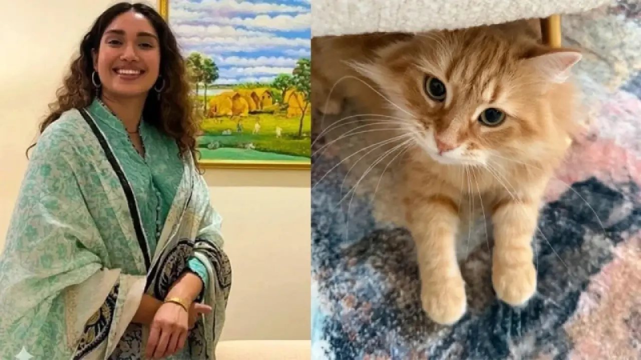 জেবুকে ঘিরে এত কৌতুহল দেখে আমি কিছুটা অবাক: জাইমা রহমান