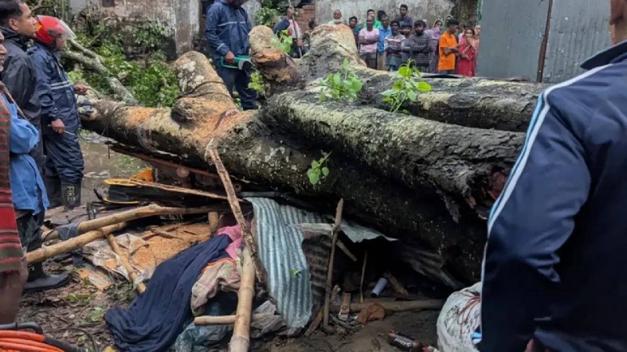 কালবৈশাখী ঝড়ে দোকানের ওপর গাছ পড়ে ব্যবসায়ীর মৃত্যু